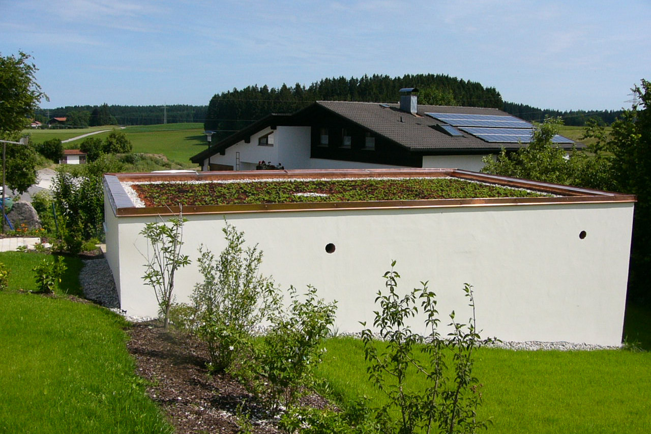 Dachbegrünung