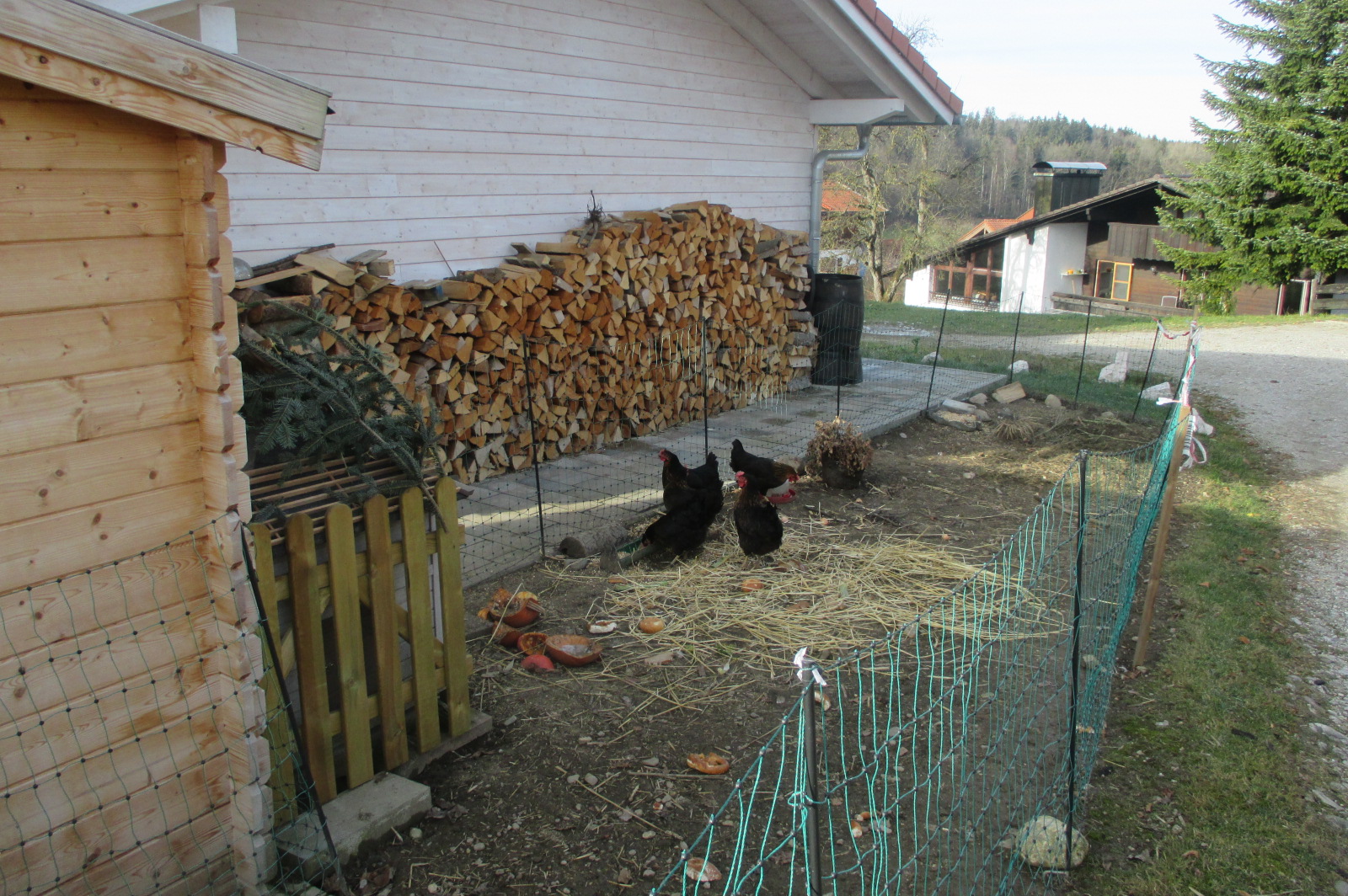Einfamilienhaus mit Hühnergehege