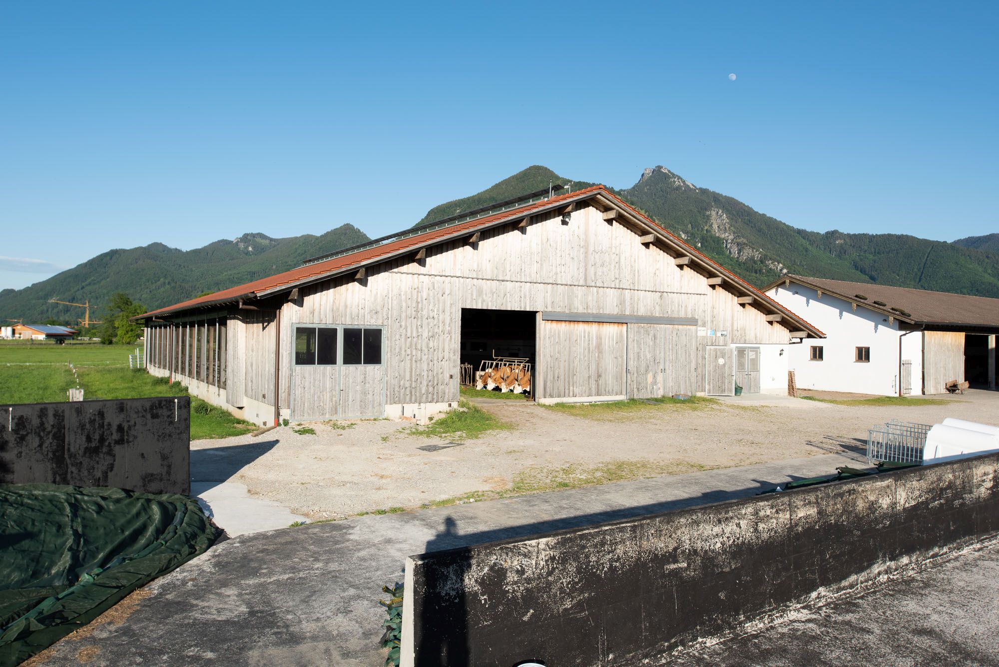 Rinderstall mit Fahrsilo