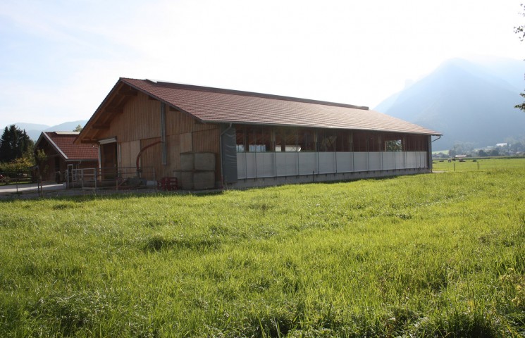 Stall