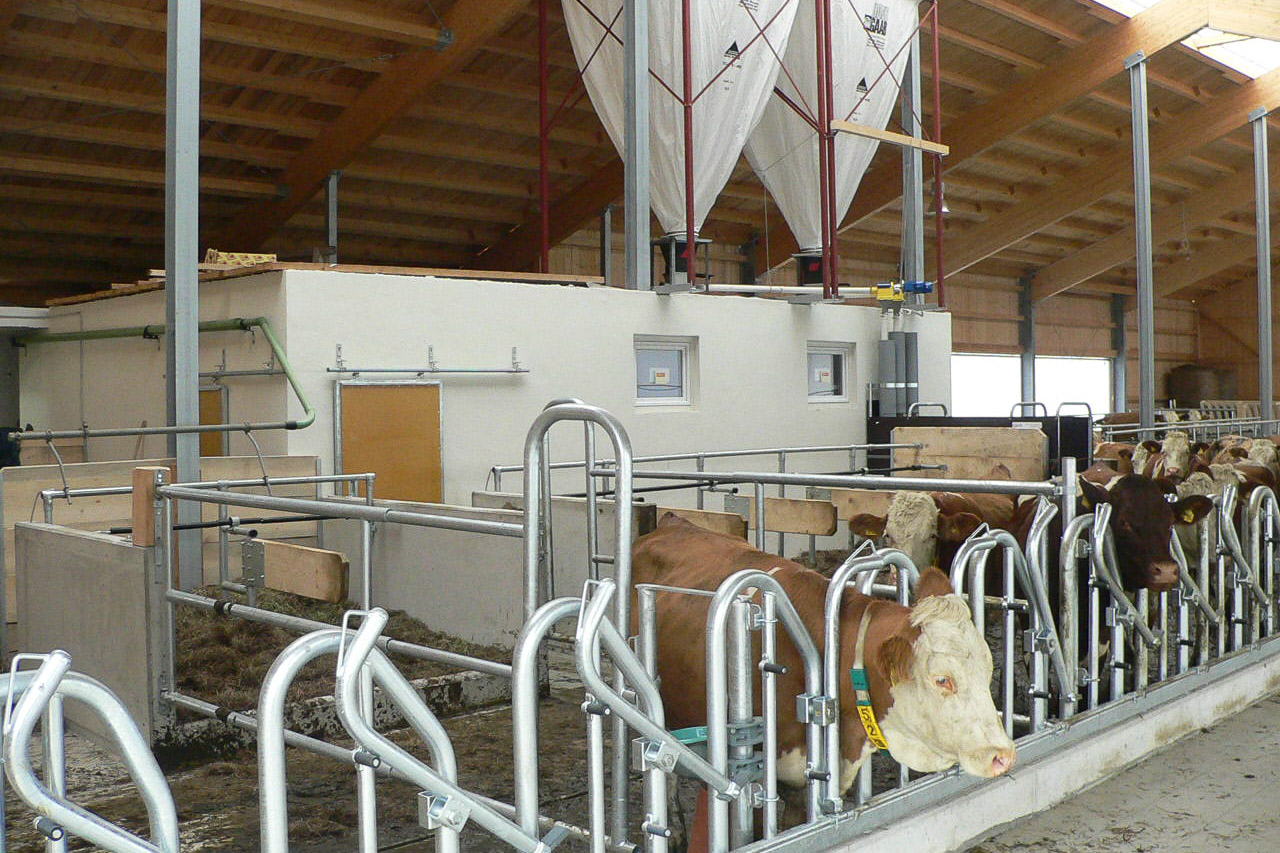 Stall innen - Futtersilo
