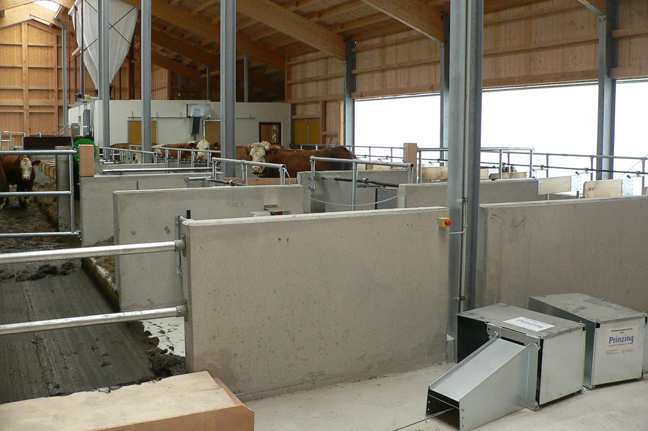 Stall innen - Liegeboxen