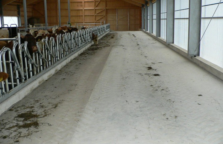 Stall - Futtertisch