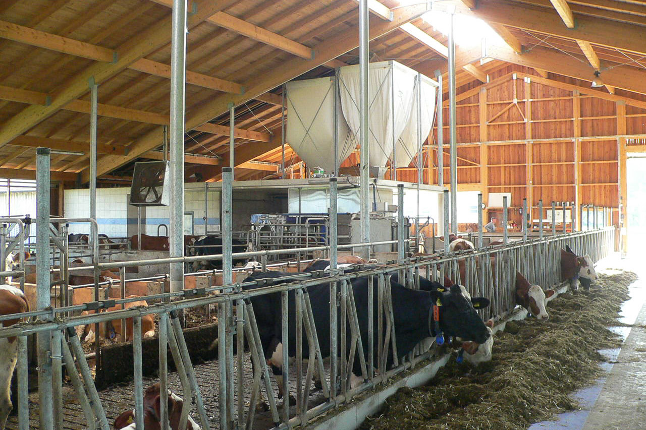 Stall