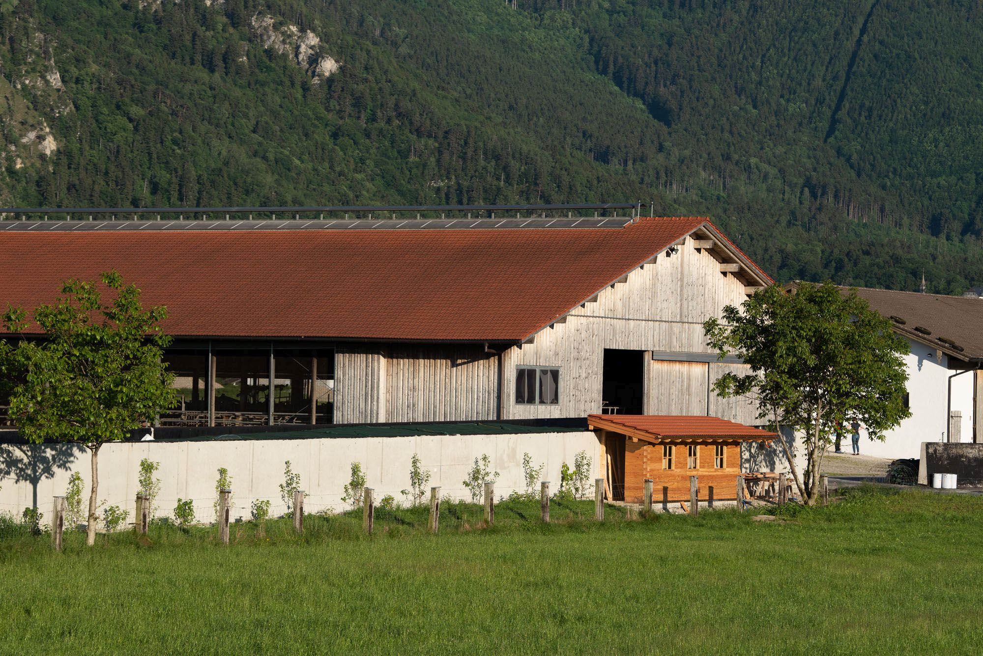 Rinderstall